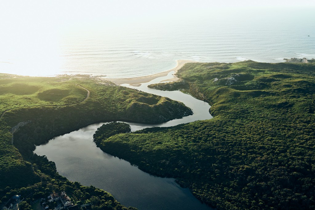 Cape Mentelle; Aquabumps